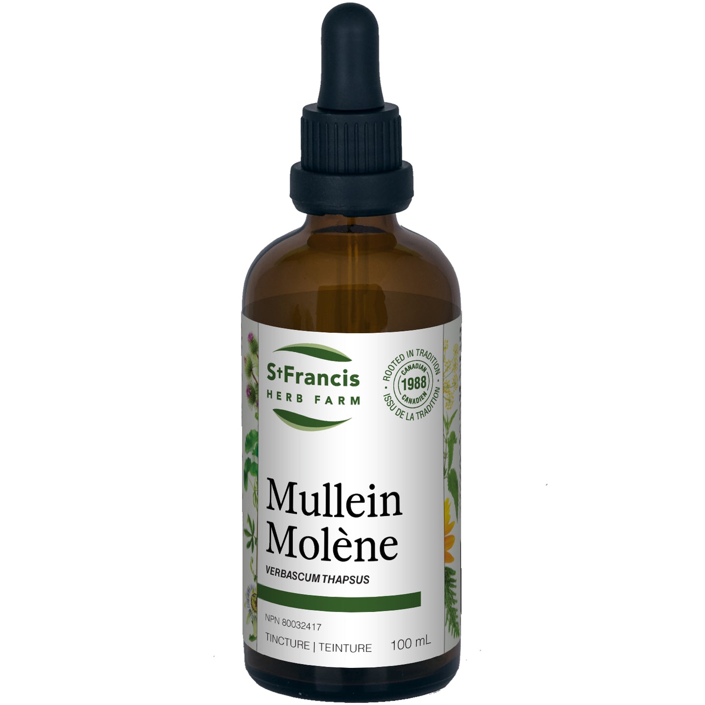 Molène 50ml