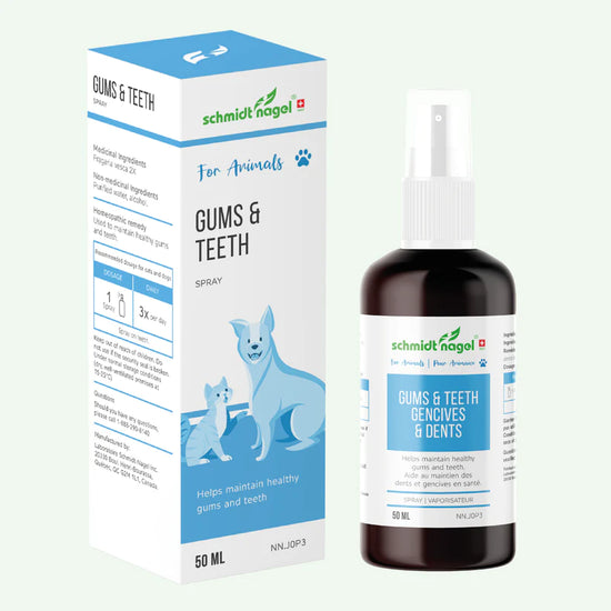 Gencives et dents Homéopathie Animaux 30ml