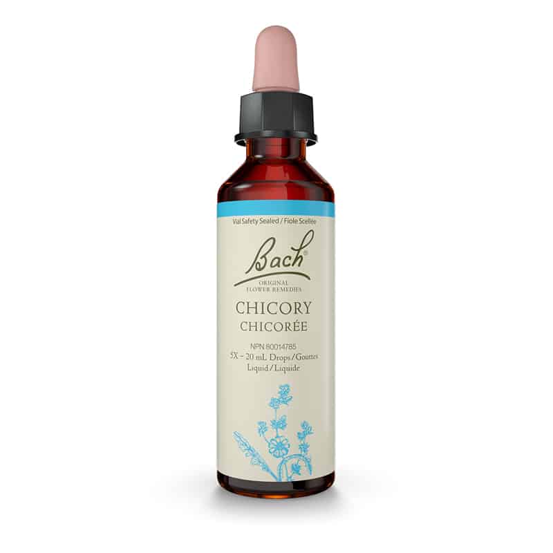 Chicory/Chicorée 20 ml