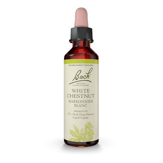 White Chestnut/Marronnier Blanc 20ml